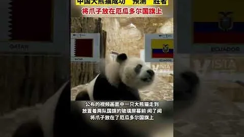 努內斯感慨狼迷失落，曼城加盟良机难逢！